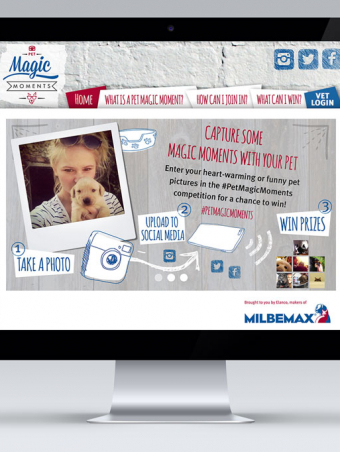 MMX-portfolio-1-1024x682